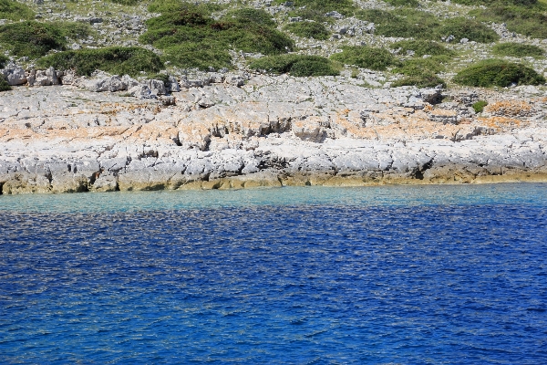 海 海岸 水 概要 写真