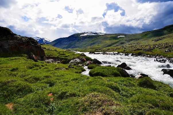 Landscape sea coast nature Photo