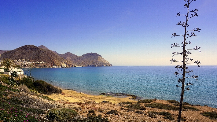 Foto Praia paisagem mar costa