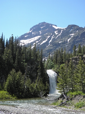 Landscape nature forest outdoor Photo