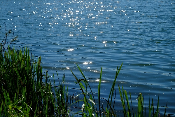 Landscape sea coast water Photo