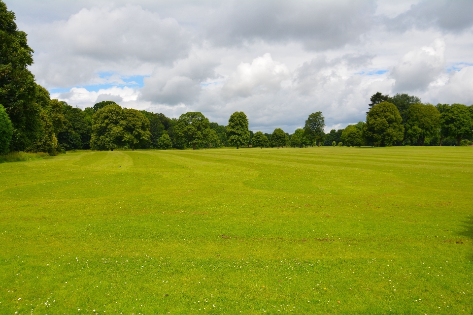 Landschaft natur gras draussen