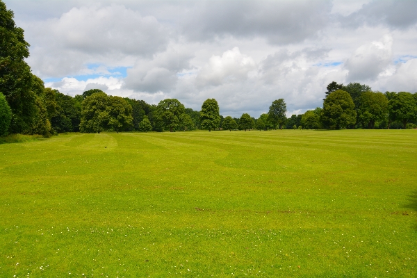 Landscape nature grass outdoor Photo