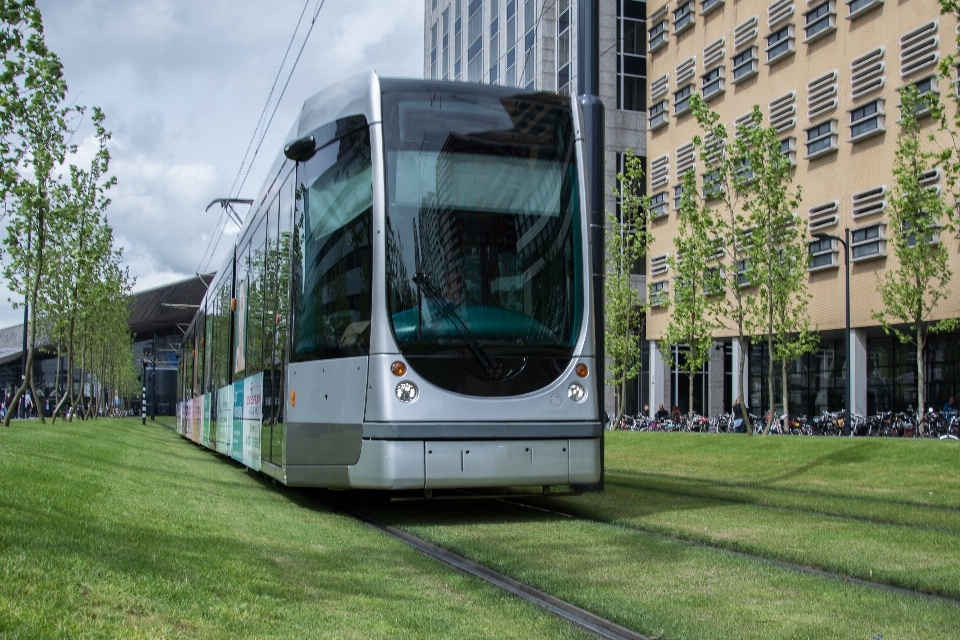 Gras straße rasen schiene