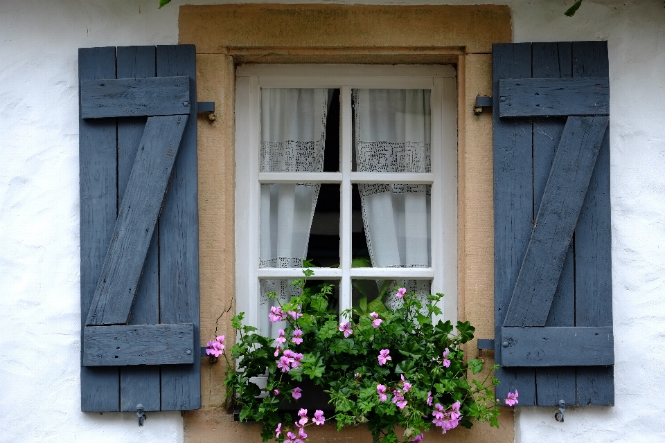 Die architektur haus blume fenster