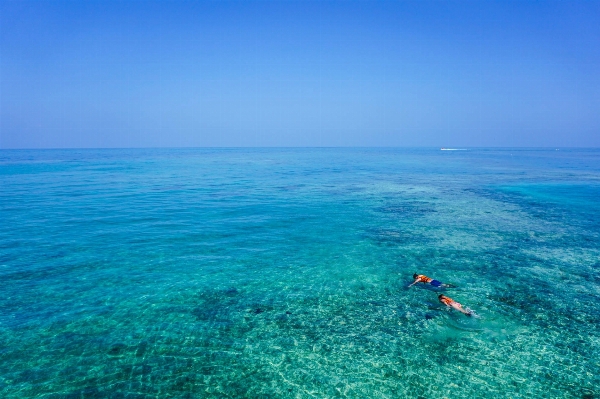 海 水 海洋 地平線 写真