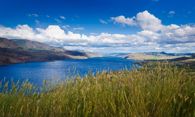 Landscape sea coast nature Photo