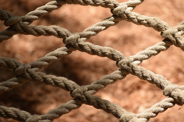 Branch rope fence barbed wire Photo