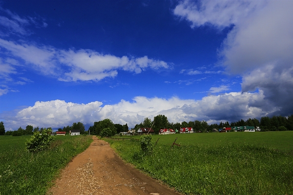 Landscape nature grass horizon Photo