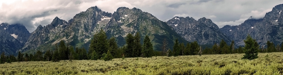 Paisaje árbol naturaleza desierto
