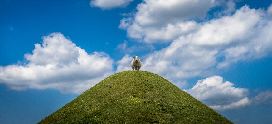 Landscape nature grass horizon Photo