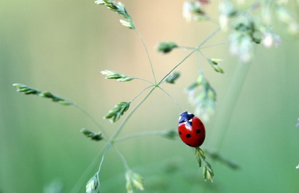 Natura oddział zakład fotografia