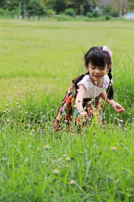 Nature grass outdoor open Photo