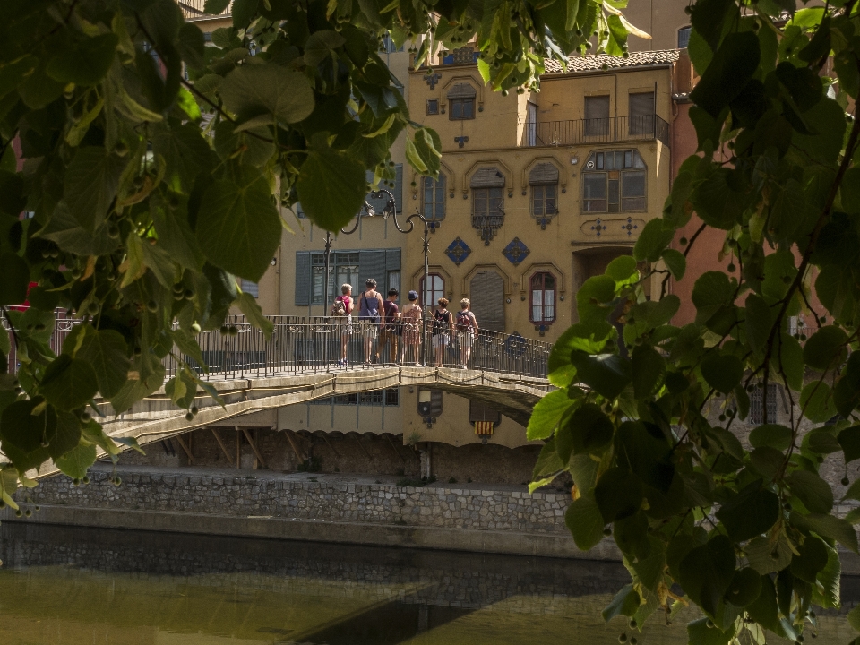 Paysage eau architecture pont