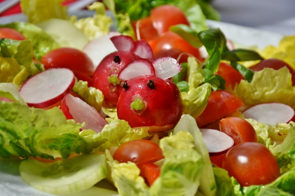 Dish meal food salad Photo