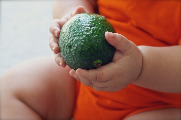 Hand plant fruit food Photo