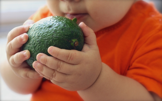 Hand plant fruit food Photo