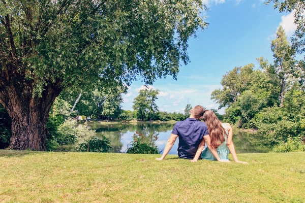 Natur gras rasen wiese
 Foto