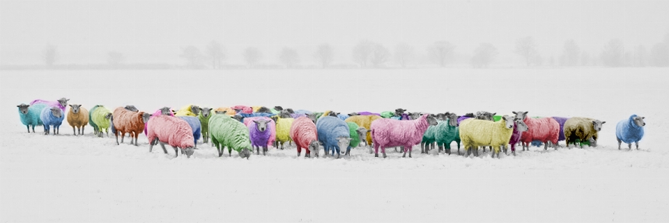 Paisaje naturaleza nieve invierno