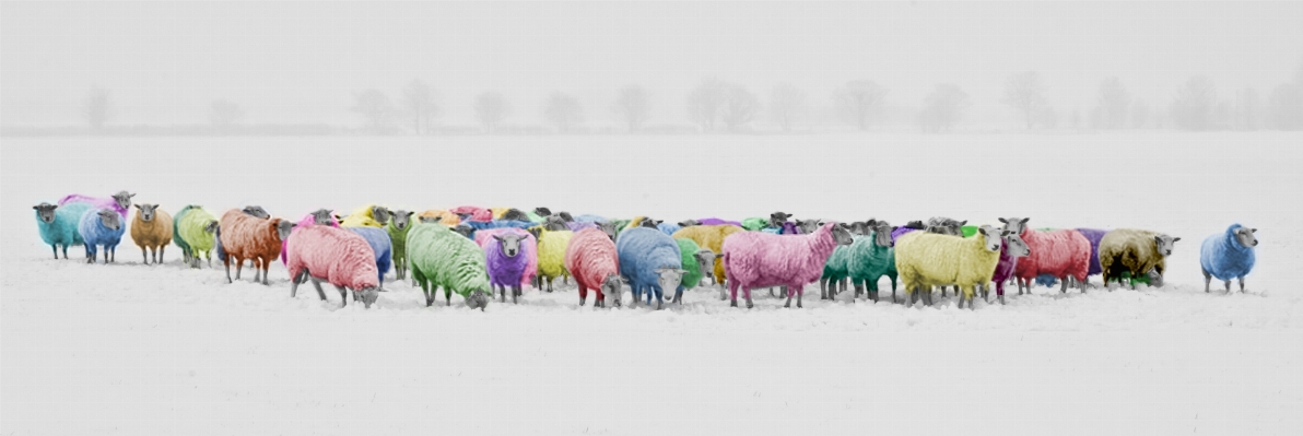 Landschaft natur schnee winter Foto