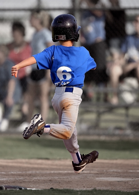 Béisbol deporte campo juego