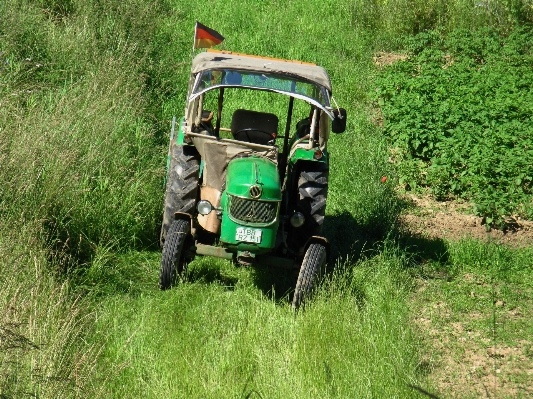 Grass sport car tractor Photo