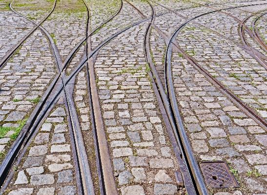 Grass track walkway tram Photo