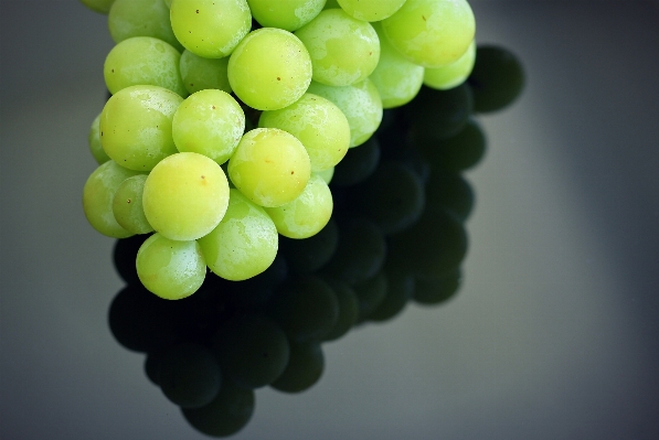 Plant grape fruit flower Photo