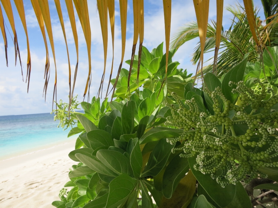 Beach sea water sand