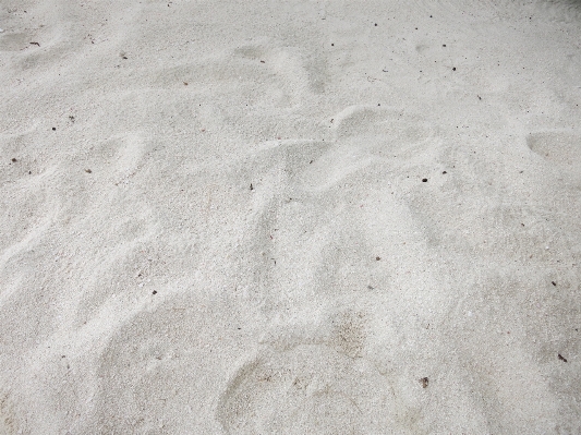 Beach coast sand rock Photo