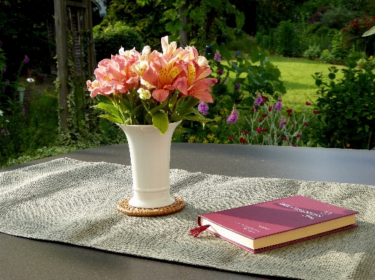 Table book plant white Photo