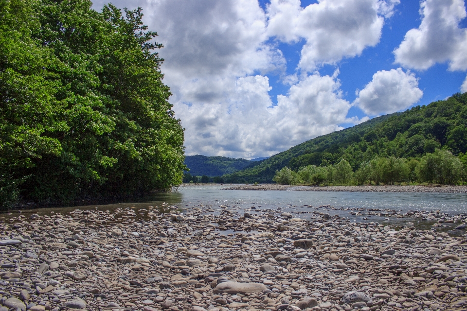 Krajobraz drzewo woda natura