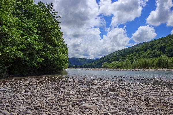 Foto Paesaggio albero acqua natura