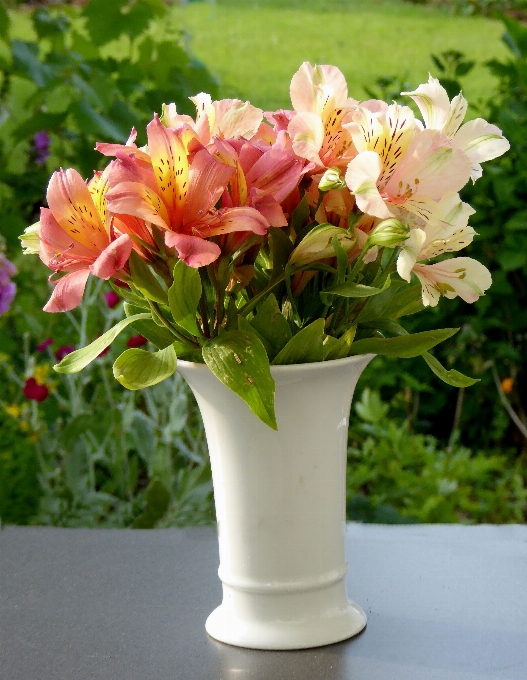 Anlage weiss blume vase