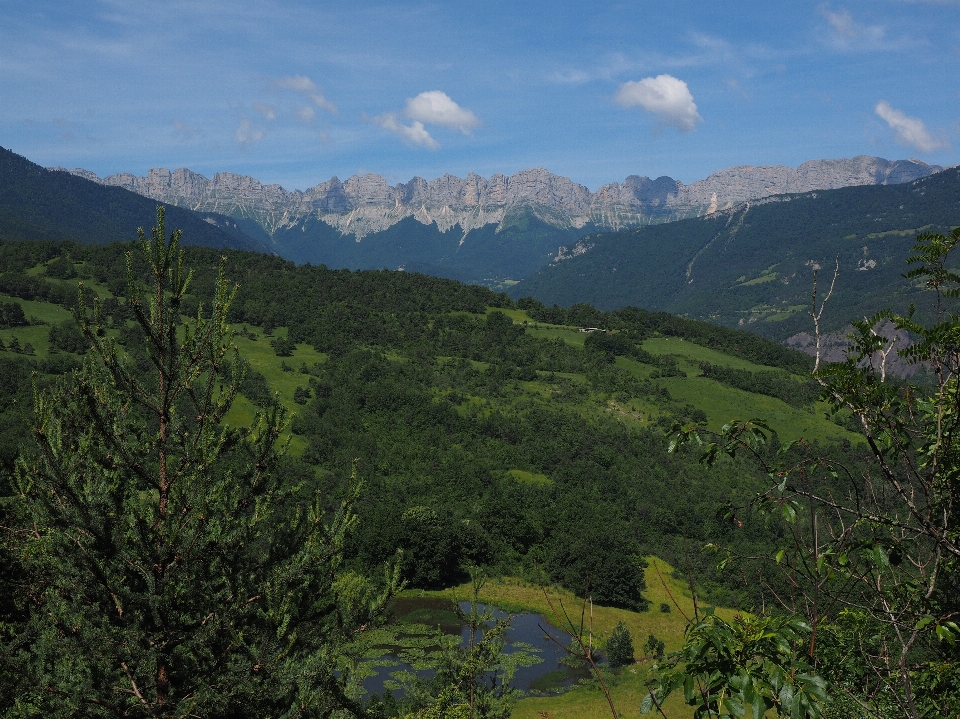 Paysage nature forêt région sauvage
