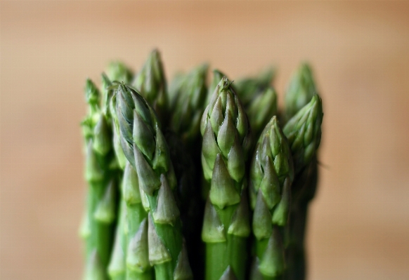 Nature plant summer meal Photo