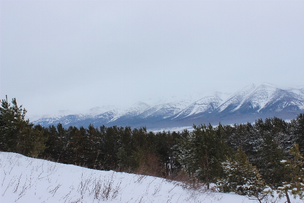 Landscape forest wilderness mountain Photo