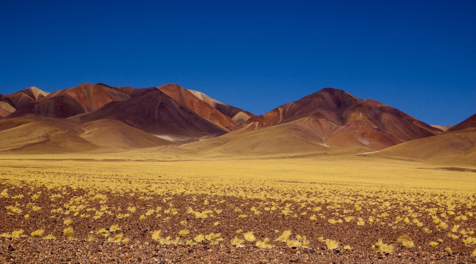 Landschaft natur horizont wildnis
