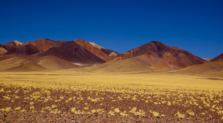 Foto Paisaje naturaleza horizonte desierto
