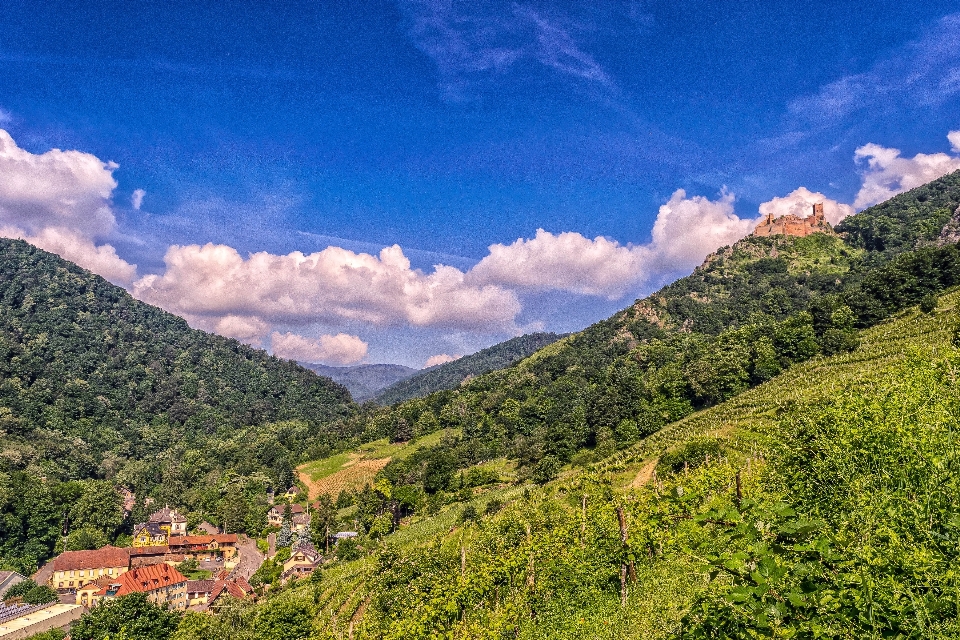 Landscape forest mountain cloud