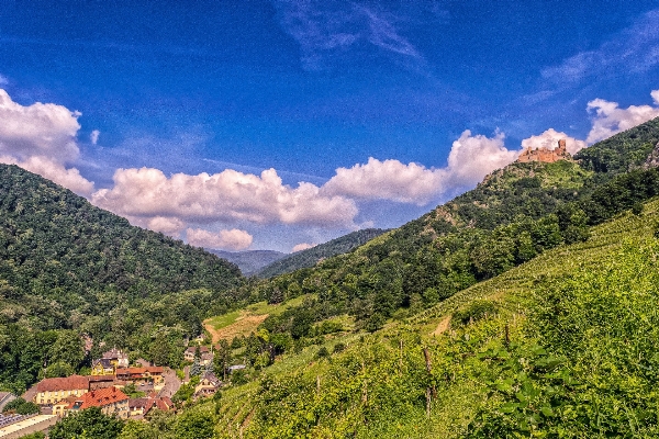 風景 森 山 クラウド 写真