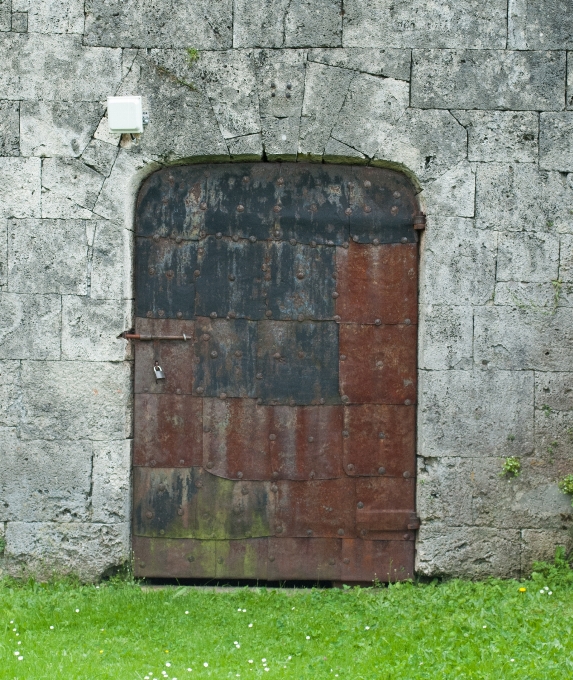 Herbe bois vieux mur