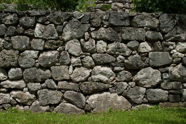 自然 草 rock 植物 写真