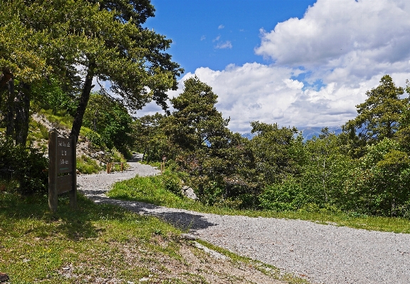 Foto Paisagem árvore região selvagem
 montanha