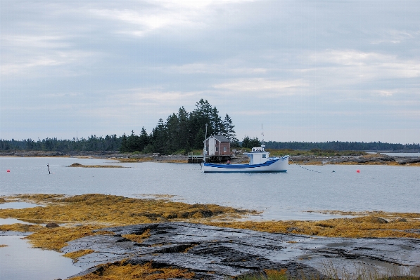 Beach sea coast water Photo