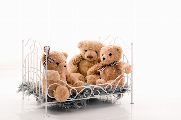 White studio toy teddy bear Photo