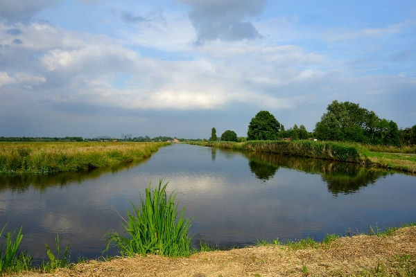 Landschaft baum wasser natur Foto