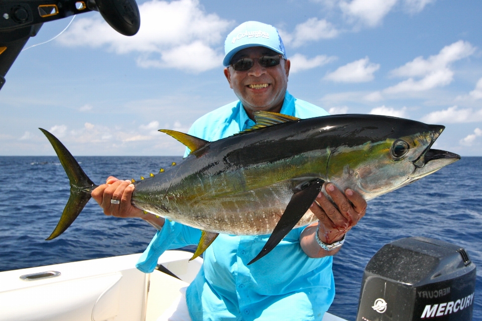 Oceano pesca pescare pesce latte
