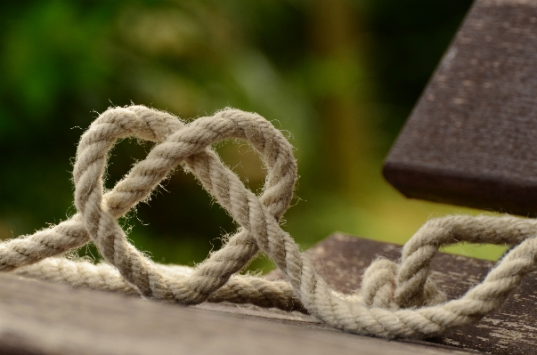 Branch rope love heart Photo