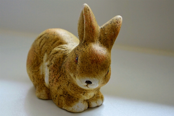 Decoration toy material rabbit Photo